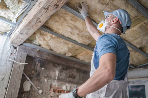 Best Insulation Installation Services in Terrace Park, OH